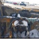 3GTU9CED5MG258083 2021 GMC Sierra 1500 auction photo thumbnail 7