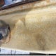3GTU9CED5MG258083 2021 GMC Sierra 1500 auction photo thumbnail 9