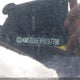 KM8JB3AEXPU197798 2023 Hyundai Tucson Sel auction photo thumbnail 9