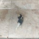 4YDT267219G101700 2009 Keystone Impact Vapor Lite auction photo thumbnail 11