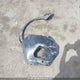 1FMCU9J98JUD32065 2018 Ford Escape auction photo thumbnail 11