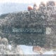 3GPKHVRJ5RS534495 2024 Honda Prologue Ex auction photo thumbnail 20