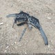 2HGFE1F90PH002362 2023 Honda Civic Touring auction photo thumbnail 12