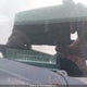 1C6RR7FTXGS354704 2016 Ram 1500 St auction photo thumbnail 19