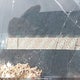 2HGFB2F51FH030892 2015 Honda Civic Lx auction photo thumbnail 9