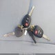 JTDKDTB30G1125946 2016 Toyota Prius C auction photo thumbnail 11