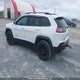 1C4PJMBN6KD233176 2019 Jeep Cherokee Trailhawk auction photo thumbnail 3