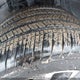 7MMVABDY9RN174258 2024 Mazda Cx-50 Premium auction photo thumbnail 19