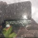 SALWS2RU2NA211037 2022 Land Rover Range Rover Sport Hst auction photo thumbnail 18
