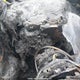 WDCTG4GB7FJ068364 2015 Mercedes-Benz Gla 250 4Matic auction photo thumbnail 14