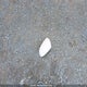 2HGFB2F40EH021395 2014 Honda Civic Lx auction photo thumbnail 12