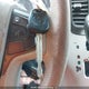 5TDXK3DC7DS329621 2013 Toyota Sienna Se 8 Passenger auction photo thumbnail 11