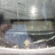 1FTKR4EE5BPA95773 2011 Ford Ranger Sport auction photo thumbnail 20