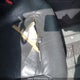 1G1AM18B777124233 2007 Chevrolet Cobalt Ss auction photo thumbnail 11