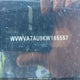 WVWVA7AU9KW165557 2019 Volkswagen Golf R auction photo thumbnail 9