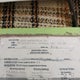 T1729 1973 Boler Travel Trailer auction photo thumbnail 9