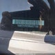 1N6ED1FK5RN657169 2024 Nissan Frontier auction photo thumbnail 19