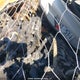 JF1ZNBE14R9754989 2024 Toyota Gr86 Premium auction photo thumbnail 11