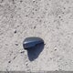 3FA6P0PU5JR282495 2018 Ford Fusion auction photo thumbnail 12