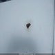 2HGFA15248H023281 2008 Honda Civic Dx/Dx-A auction photo thumbnail 21