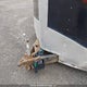 54GVC20T3H7025544 2017 Remorque Artisanale auction photo thumbnail 10
