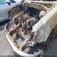 1FTPW14V78FC26344 2008 Ford F-150 Fx4/King Ranch/Lariat/Xlt auction photo thumbnail 6