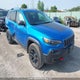 1C4PJMBX7MD190407 2021 Jeep Cherokee Trailhawk Elite auction photo thumbnail 1