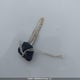 JYAVM01N8YA003217 2000 Yamaha Xvs65 A auction photo thumbnail 11