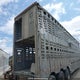 1MT2N5333GH025409 2016 Merritt Equipment Co auction photo thumbnail 6