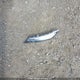 1VWEA7A38LC006276 2020 Volkswagen Passat Execline auction photo thumbnail 12