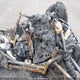 3JB2FEG43KJ000866 2019 Can-Am Ryker auction photo thumbnail 8