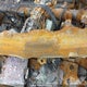 2T1BURHEXKC147436 2019 Toyota Corolla auction photo thumbnail 9