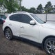 JN1AJ0HR4AM751944 2010 Infiniti Ex35 Journey auction photo thumbnail 13