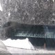 5J8TB4H52GL805863 2016 Acura Rdx Technology auction photo thumbnail 9