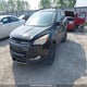 1FMCU9H91DUD44925 2013 Ford Escape Sel auction photo thumbnail 2