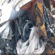55SWF6EB8KU318747 2019 Mercedes-Benz Amg C 43 4Matic auction photo thumbnail 14