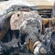 1FAHP2EW4BG105258 2011 Ford Taurus Sel auction photo thumbnail 7