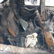 1FAHP2EW4BG105258 2011 Ford Taurus Sel auction photo thumbnail 8