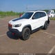1C4PJMBXXLD656703 2020 Jeep Cherokee Trailhawk auction photo thumbnail 2