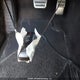 1FA6P8TH6F5327476 2015 Ford Mustang auction photo thumbnail 11