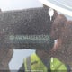 KNADM4A30E6355208 2014 Kia Rio Ex/Ex+/Lx/Lx+/Sx auction photo thumbnail 18