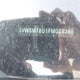 3VWSM7BU1PM028349 2023 Volkswagen Jetta Comfortline auction photo thumbnail 19