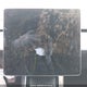 5YJ3E1EA3KF413895 2019 Tesla Model 3 Long Range/Mid Range/Standard Range/Standard Range Plus auction photo thumbnail 14