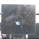 5YJ3E1EA3KF413895 2019 Tesla Model 3 Long Range/Mid Range/Standard Range/Standard Range Plus auction photo thumbnail 7