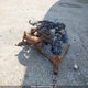 2BPS219842V000018 2002 Skidoo auction photo thumbnail 2