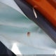 5N1AT2MV3HC807146 2017 Nissan Rogue Sv/Sl auction photo thumbnail 21