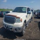 1FTPW14V47FB86612 2007 Ford F-150 auction photo thumbnail 2