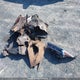 3KPF44AC9PE629529 2023 Kia Forte Gt auction photo thumbnail 12