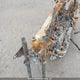 SMT925RN0DT572222 2013 Triumph Motorcycle Scrambler auction photo thumbnail 10