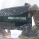 KNDERCAAXN7290962 2022 Kia Seltos Ex auction photo thumbnail 19